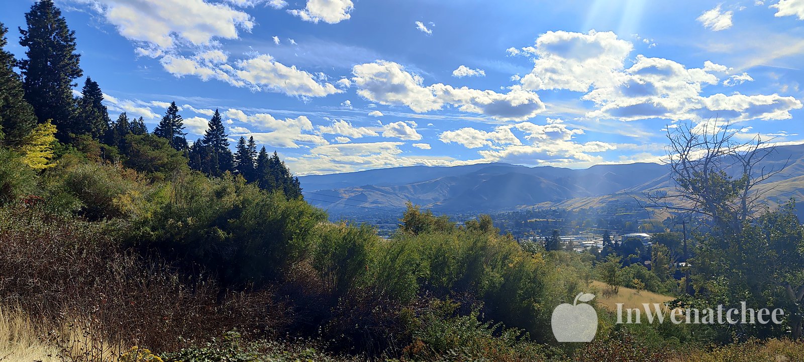 Pines and shrubs on a hillside overlooking the valley and the river.