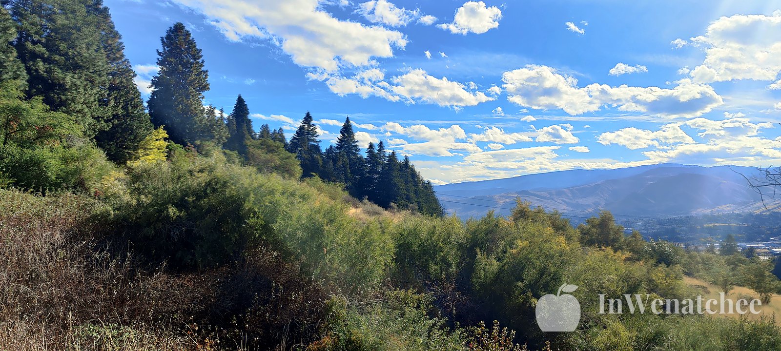 A hillside overlook with evergreens and distant mountains.