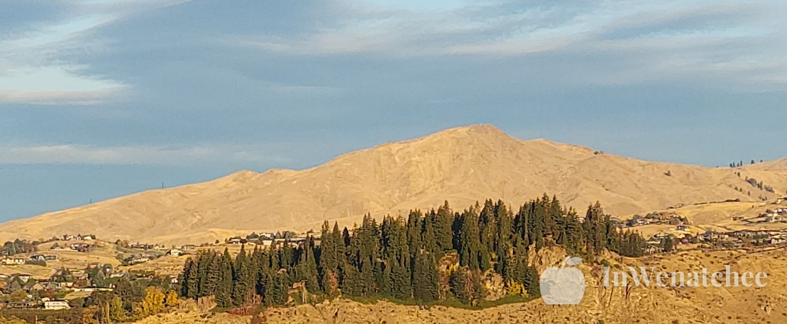 Evergreen trees in front of a golden rocky slope, with blue sky above the hill.