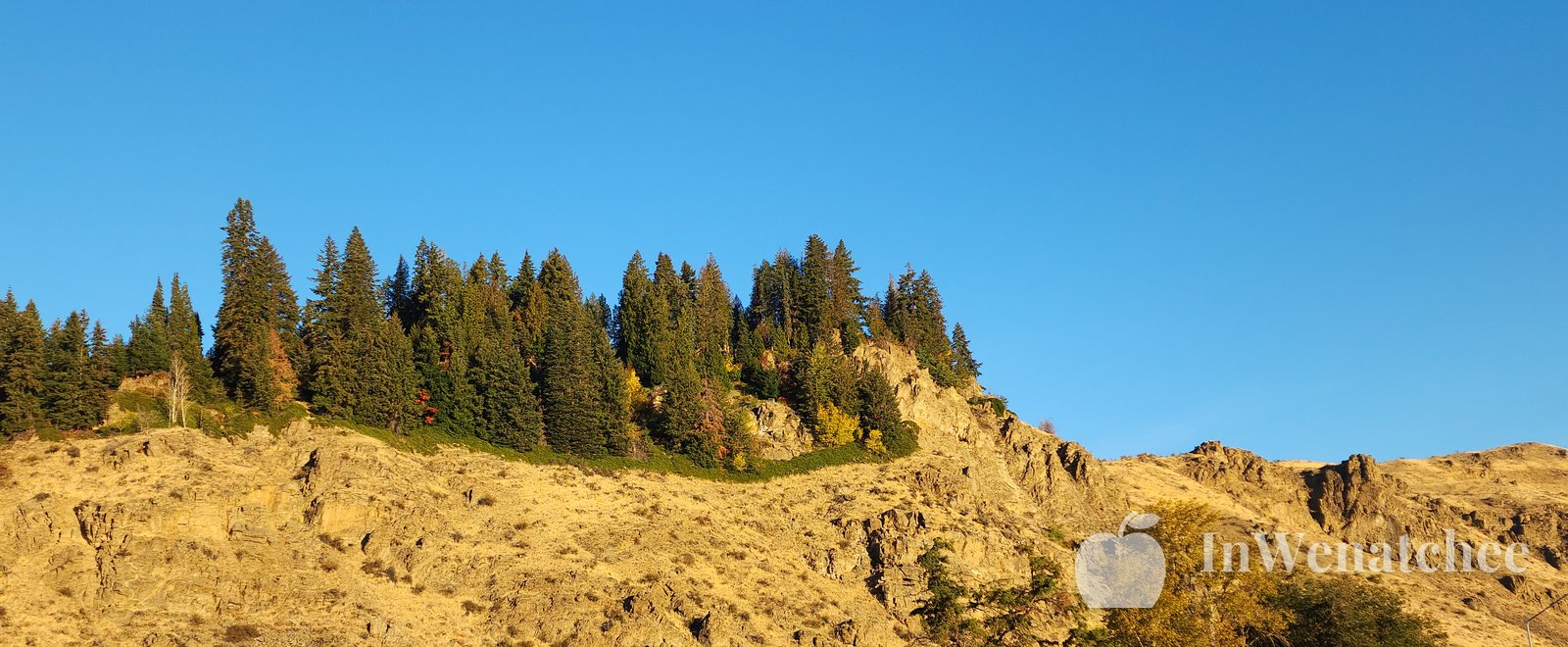 Evergreen trees and rocky ground on the left, open blue sky to the right, and a golden hillside below.