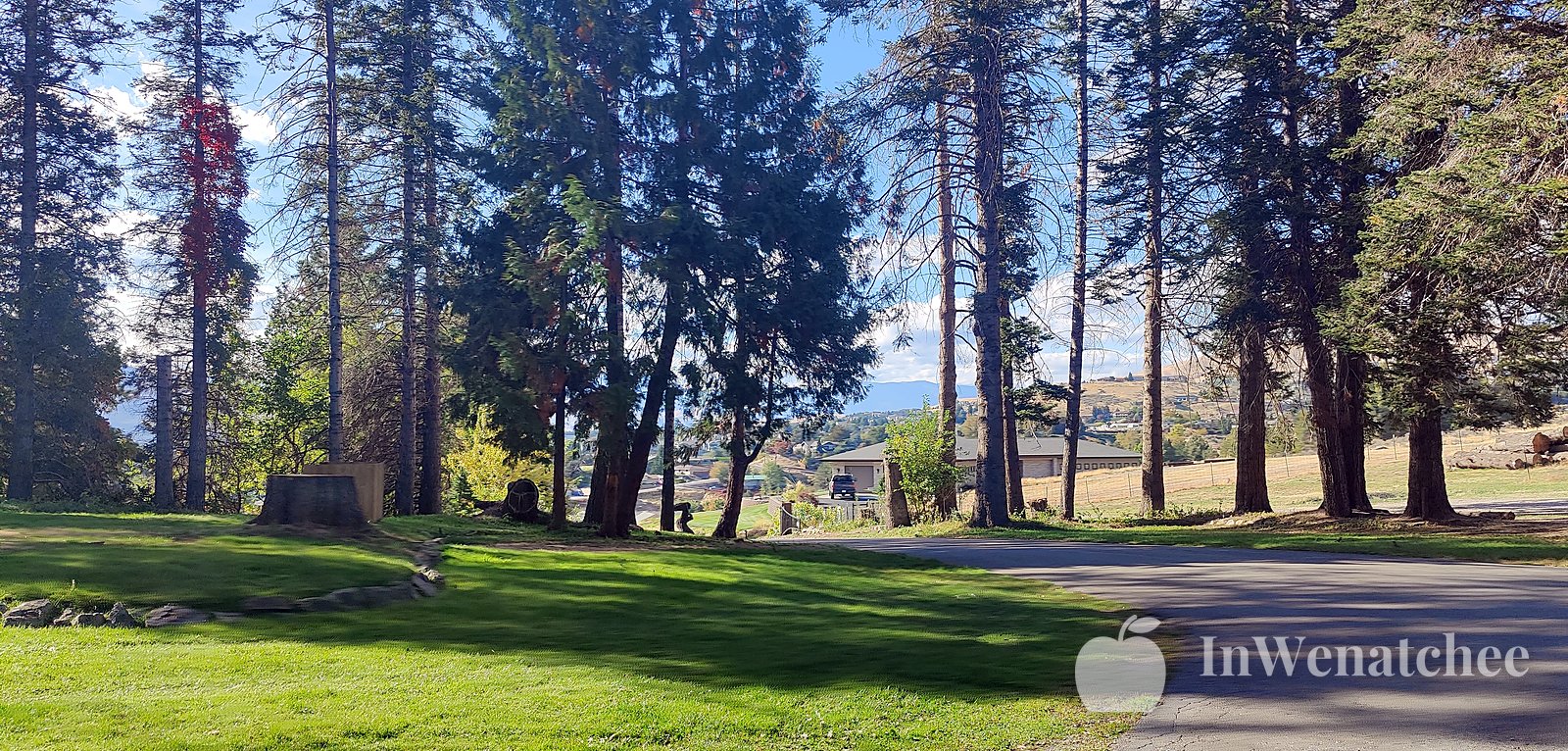 A lawn and tall pines near the entrance, with a paved path.