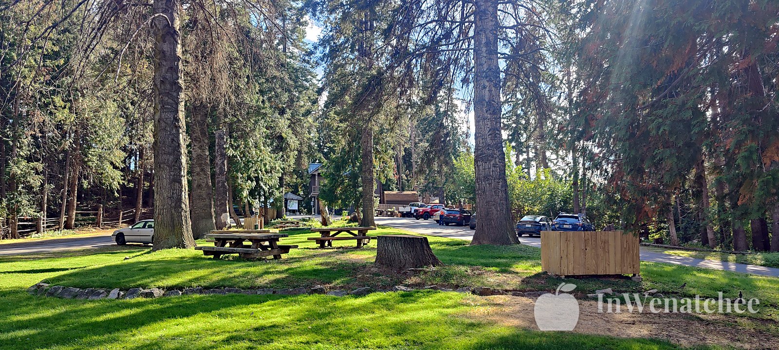 Picnic tables on the lawn among tall evergreens.