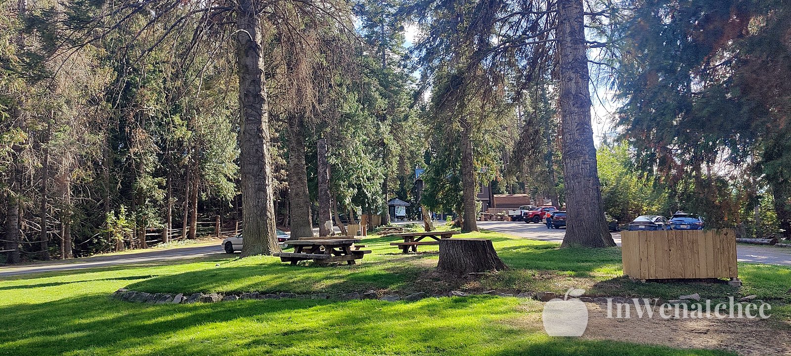 Picnic tables and a planter box under the pines.