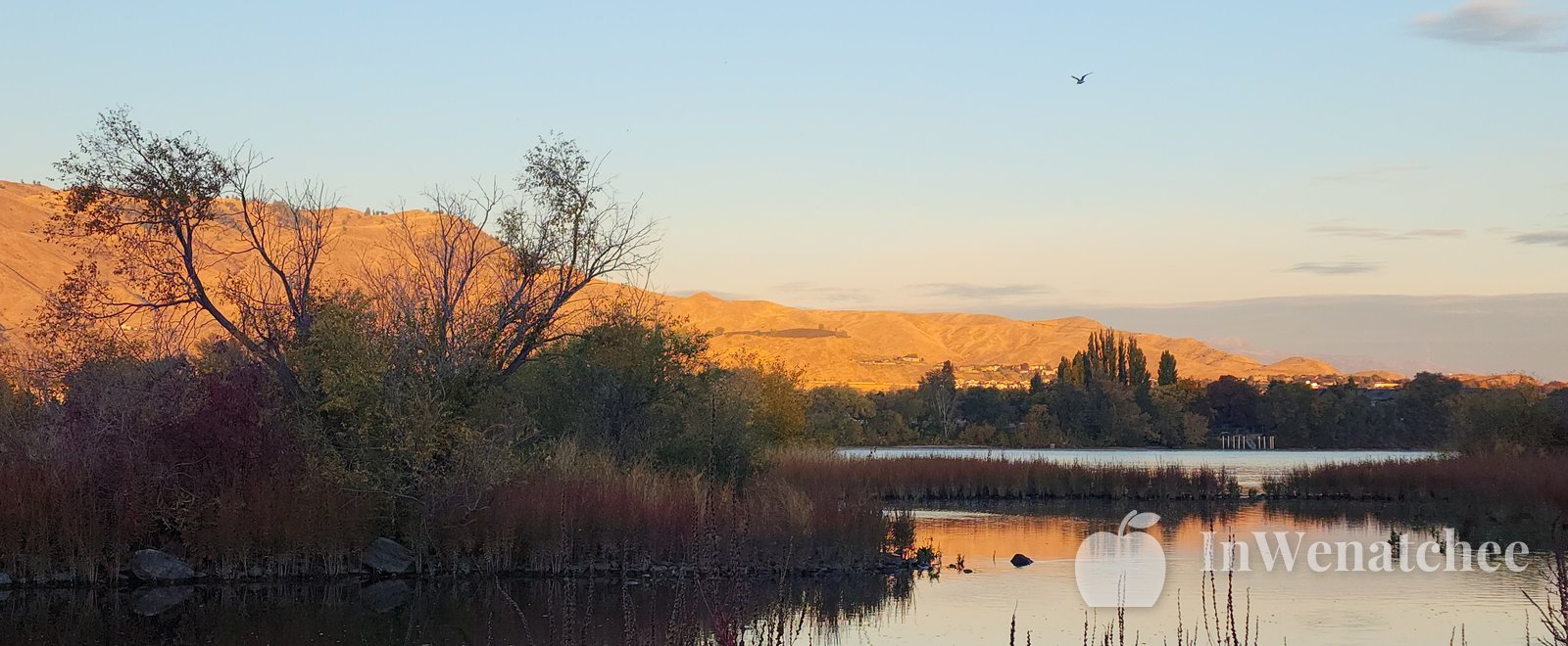 Sunset over the Columbia River at the Wenatchee riverfront, with a bright cloudy sky, golden light on the water, hills along the far bank, and reeds in the foreground.