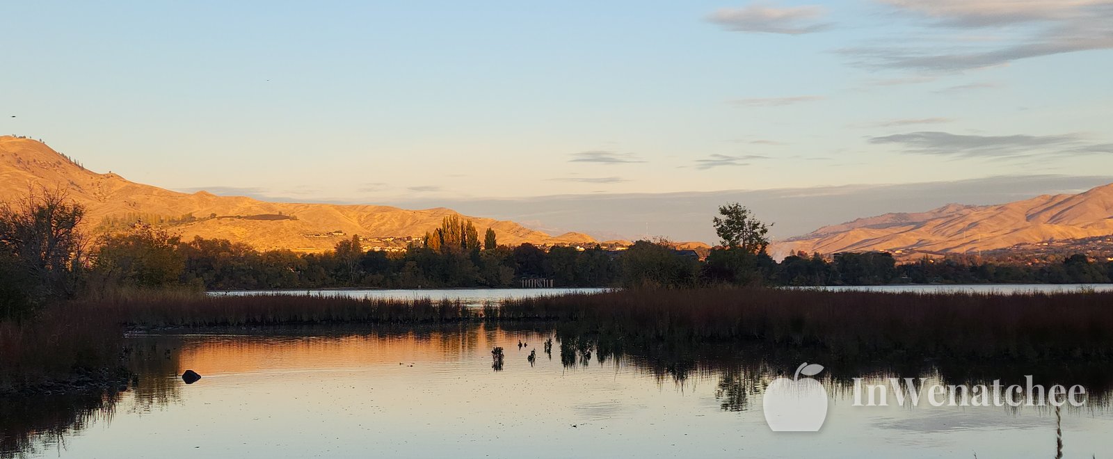 Golden sunset reflected in the Columbia at the Wenatchee riverfront, with a pale sky, low hills, and reeds along the shore.