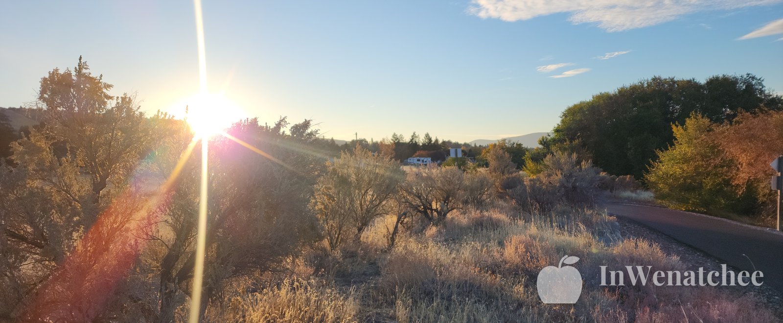 Low sun over fall-colored Wenatchee hills, with orange trees on one side and a darker hillside on the other.