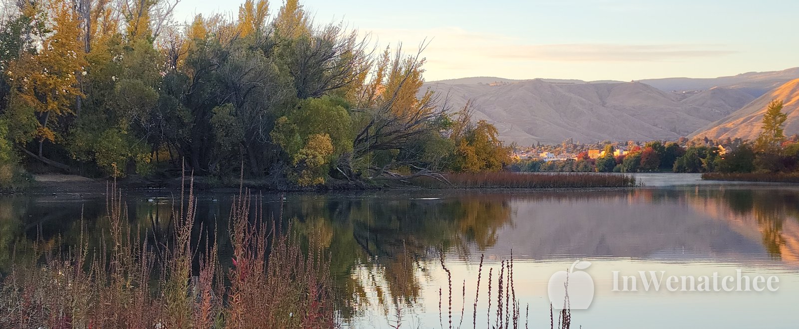 Wenatchee riverfront at sunset, with trees and brush along the near bank, sunlit hills across the Columbia, and the river between them.