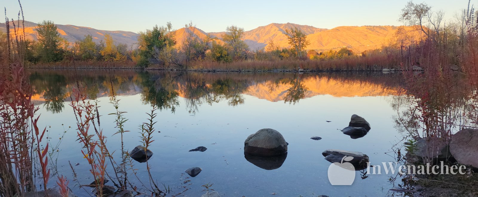 Closer view of the Wenatchee riverfront at sunset, with tall reeds along the bank and pink-orange light on the Columbia River.